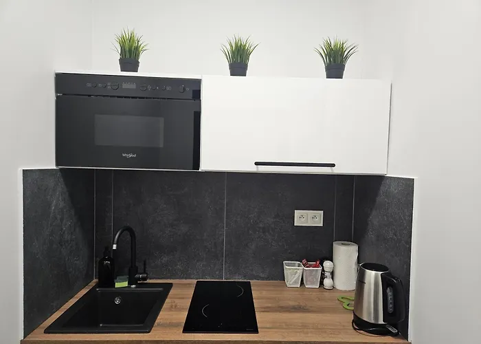 Apartment N 25 Przy Kaponierze *